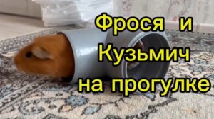 Фрося и Кузьмич на прогулке