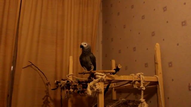 Ты кто? Он улетел, но обещал вернуться...:)) смотреть онлайн