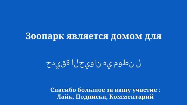 Быстро и легко выучите арабский язык за 8 минут. смотреть онлайн