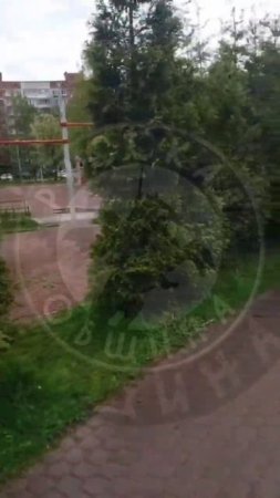 В Колпино Дружина задержала наркоманов, которые хотели зарезать женщину