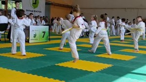 Сдаю экзамен на желтый пояс.
Г. Котельники. Спорткомплекс. 25 мая