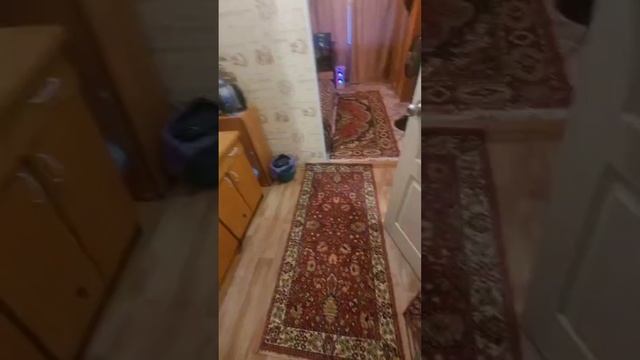 0528 смотреть онлайн