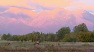 Сердце стучит в такт музыке на фоне этих видов - Hanging Out + Hangovers -- SUPERARE -- II