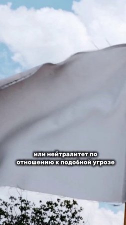 Что лежало в основе тоталитарного государства
