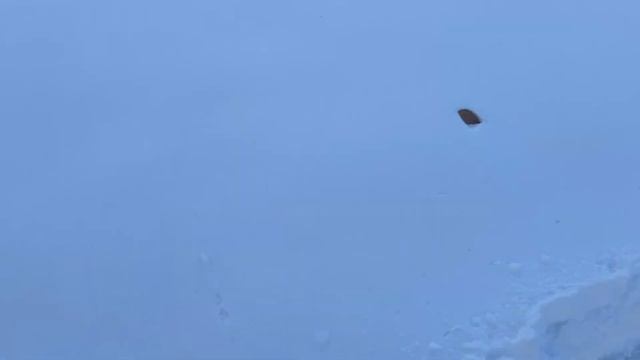 Япония, часть 5. Хакуба и сноуборды