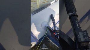 работа на обкатке gladiator 9.9 pro под лодкой флагман 350