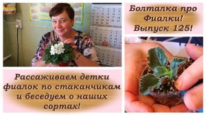Болталка про Фиалки! Выпуск 125! Рассаживаем детки фиалок по стаканчикам и беседуем о наших сортах!