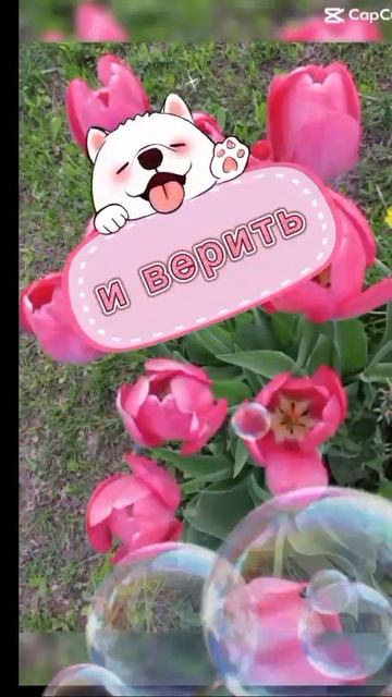 Доброе утро☀ 🌝⏰ смотреть онлайн