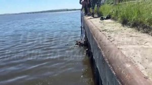 Мужчины спасли малыша, который вместе с коляской упал в реку в селе Свияжск (Татарстан).