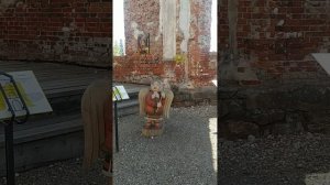 Город Ангелов #Ëжик