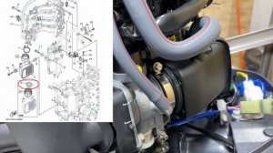 YAMAHA F50HETL. РАЗДУШКА В 60 л.с. ОБЗОР. КОМПЛЕКТЦИЯ