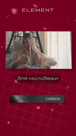 Состав проекта BASHNI ELEMENT
