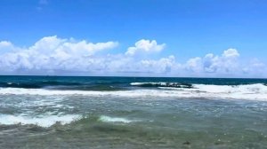 Минусы жизни во Флориде( США). Жизнь в США.