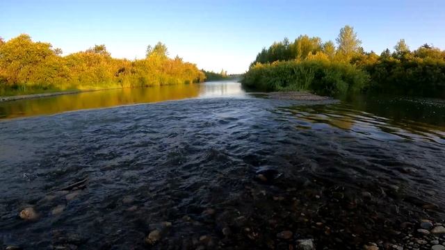 Voices of the nature музыка природы, для релаксации, сна, Медита