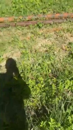Срочная замена насоса ЭЦВ в Солнечногорском районе