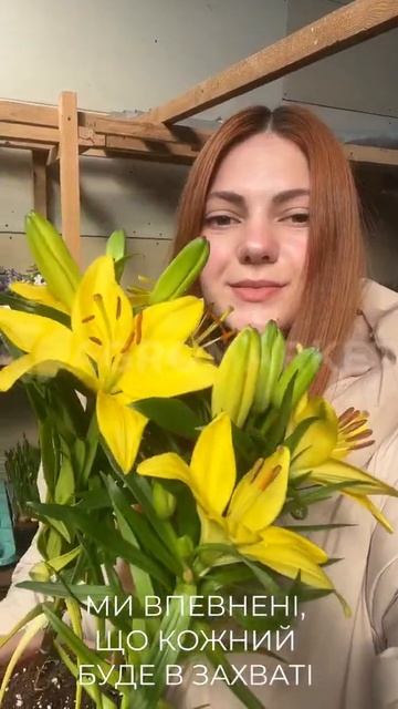 Чарівна Кімнатна Лілія 😍 Голландські Рослини | #агром