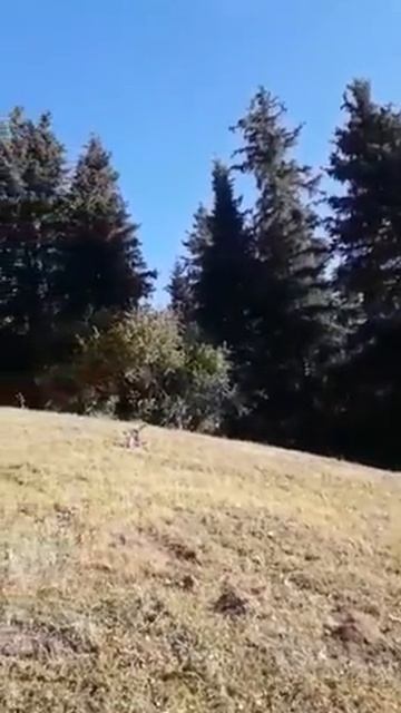 Утренний луч солнца в горах смотреть онлайн