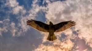 МЕДИТАЦИЯ 🕊️ "ГАРМОНИЗАЦИЯ ВТОРОЙ ЧАКРЫ" СВАДХИСТАН?