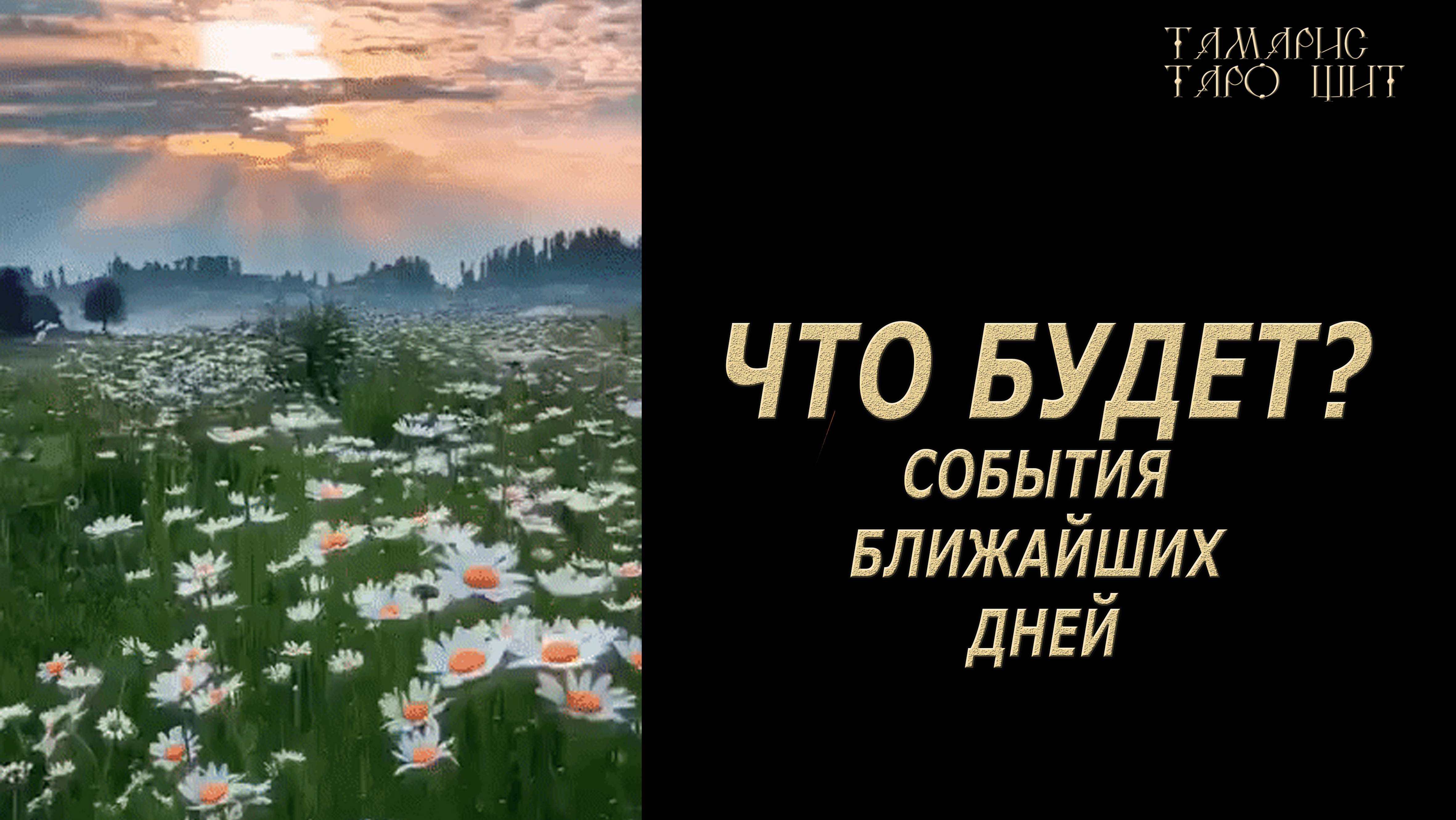 Что будет со дня на день?
