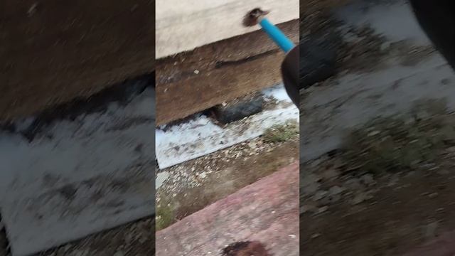 Птичник.Совет.Как "подтянуть" доски к плинтусу. смотреть онлайн