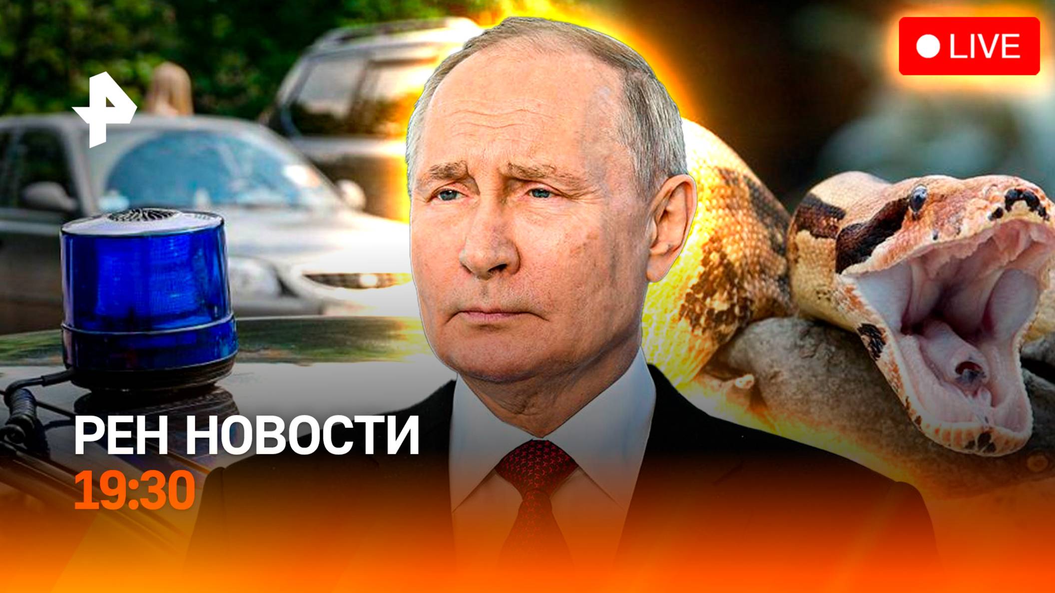 Нападение удава / Льготы для отцов / Спецсигналы в приоритете / ГЛАВНОЕ ЗА ДЕНЬ