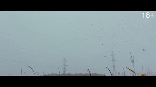 Страшные истории для рассказа в темноте Триллер #2 смотреть онлайн