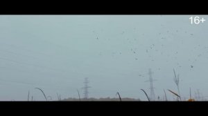 Страшные истории для рассказа в темноте Триллер #2