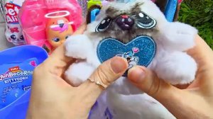 РАСПАКОВКа КОРОБКИ С САМЫМИ МИЛЫМИ ДОМАШНИМИ ЖИВОТНЫМИ НА СВЕТЕ