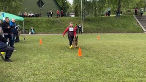 б/о НИССАНА из Белого Яра - №86 / КЧК+ БОРИСОВ (BY) 17 мая`25 M.Jovovic Моно нем.овч.