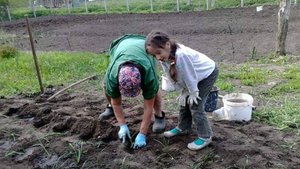 Работа в саду и огороде.