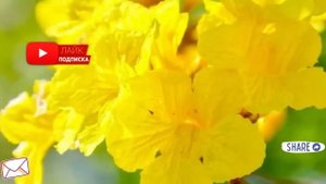 Когда родители подарили мне квартиру, свекровь вдруг ?