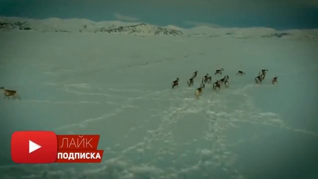 Перезагрузка Реальности. Йоль. Зимнее солнцестояние. ?