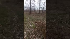 свекровь хотела выгнать нас из квартиры. истории из жи