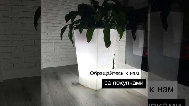 Кашпо