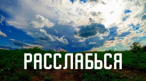 Звуки природы цветочных лугов / Пение полевых птиц и сверчков / Расслабление и покой