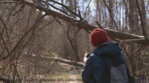 Что скрывается за этими кадрами Ответ вас удивит! - Playing With Shadows -- Ketsa -- 5D