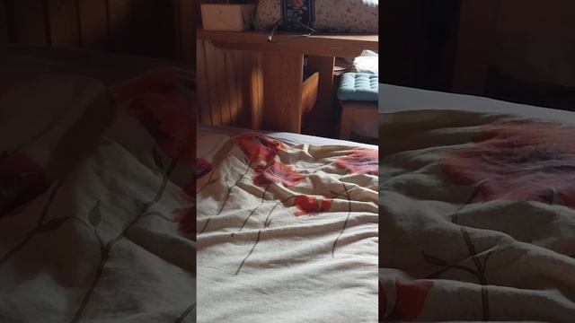 Дикие бабуины тёмное прошлое 1 серия 1 сезон смотреть онлайн