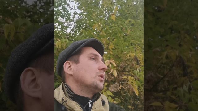 Рыбалка на живца после работы смотреть онлайн