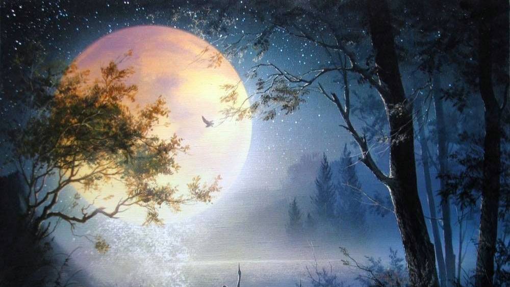 А ночь такая лунная. Любовь Мишура Николай Стах