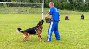 3 Отл. FURST FRONAN Lichtenstein-Ost +++ №27 / Кубок Беларуси 17 мая`25 M.Jovovic Моно нем.овч