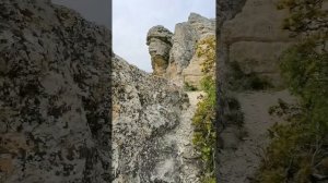 Звездопад Воспоминаний. Крым. Коктебель.