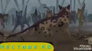 Клип коты воители (заказик от Иришки КВ песня Розовое ?