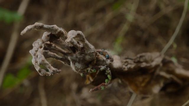 Деревня: секрет Ачиары / The Village: Achiara's Secret / 마을-아치아라의 비밀 - Тизер 5 минутный смотреть онлайн