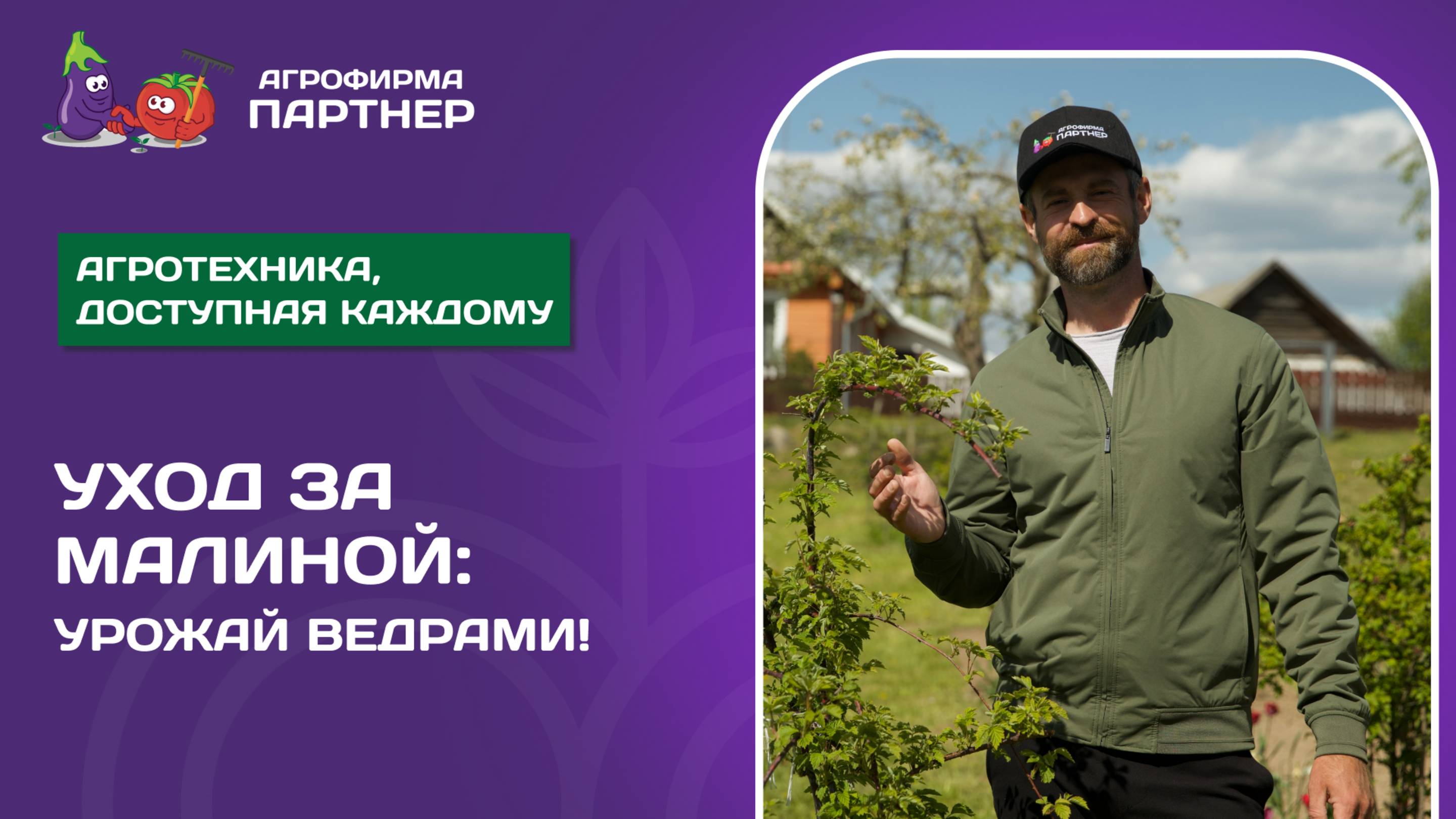 КАК УХАЖИВАТЬ ЗА МАЛИНОЙ ВЕСНОЙ, ЧТОБЫ СОБРАТЬ ДО 10 ЛИТРОВ С КУСТА
