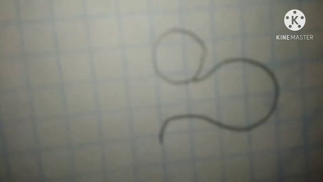 рубрика *Знаки зодиака*(рак,лев) смотреть онлайн