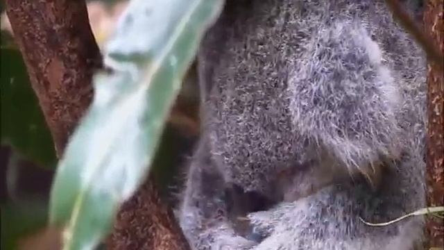 Без имени смотреть онлайн