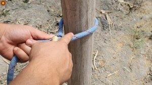 Top 3 Knots You'll Need in Everyday Life