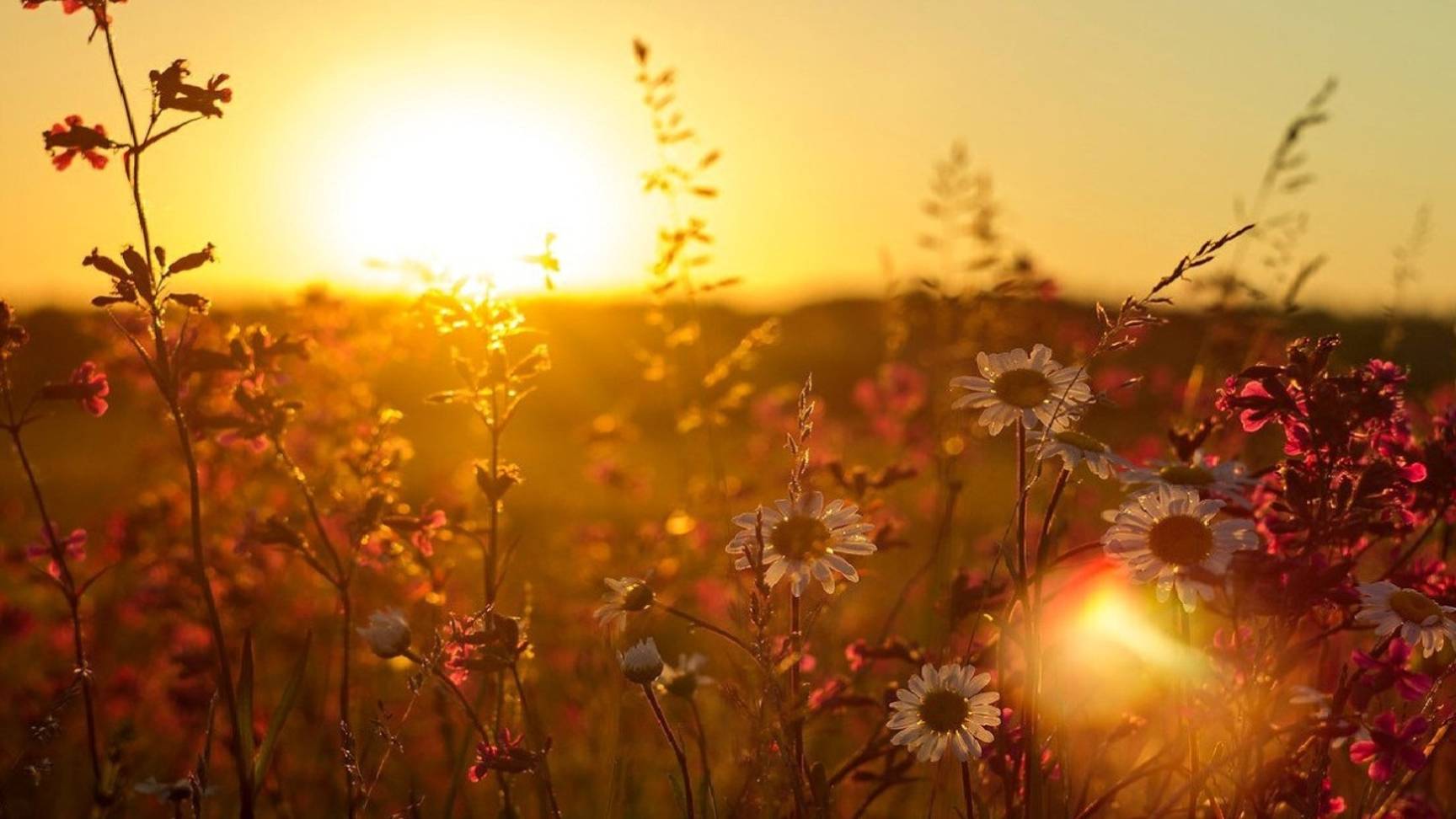 О жалости к престарелым родственникам и несправедливости