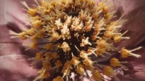 энергетическая отвязка и возврат энергии // саблимина?