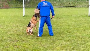 2 Отл. Диктум Фактум ВИЕСЛАВА +++ №82 / КЧК+ БОРИСОВ (BY) 17 мая`25 M.Jovovic Моно нем.овч.